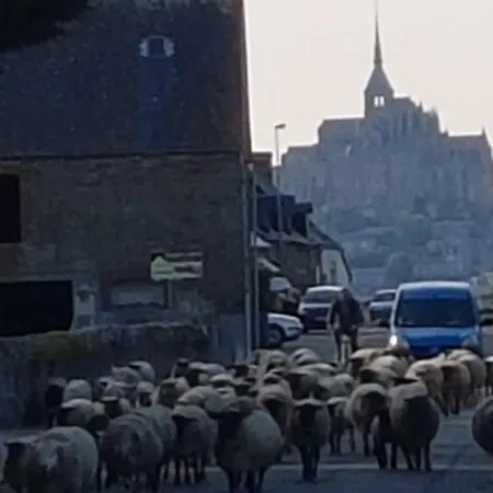 Au Mont Chez Nous Jaccuzi Et Sauna Hébergement de vacances Pontorson