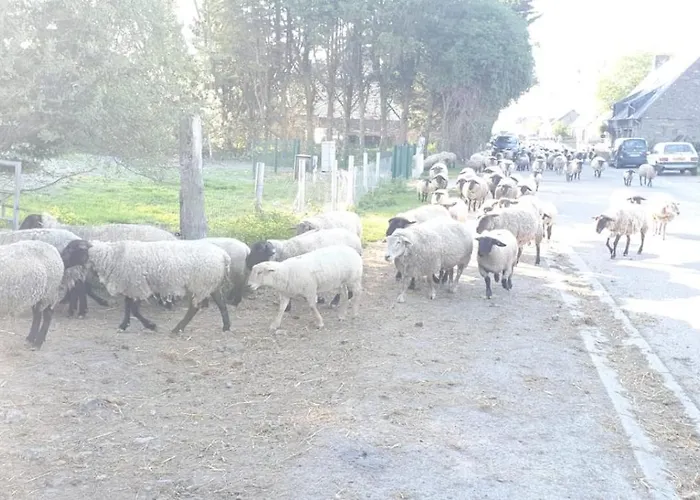 Ferienhaus Au Mont Chez Nous # Jacuzzi&sauna # Pontorson