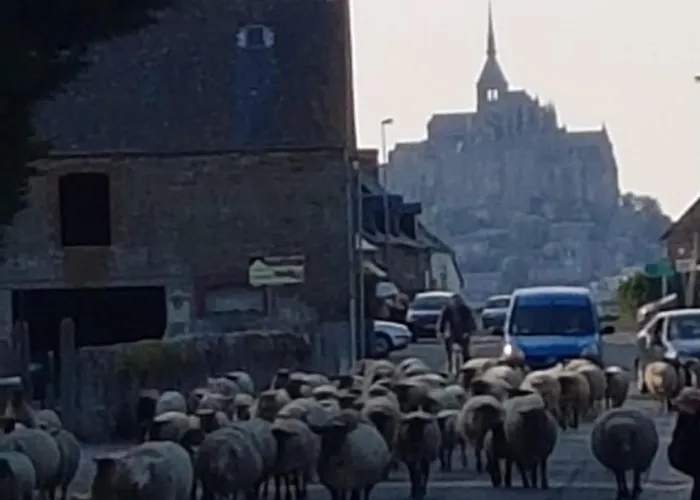 Au Mont Chez Nous # Jacuzzi&sauna # Ferienhaus Pontorson